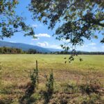 Property photo for land for sale in Le Flore County Oklahoma