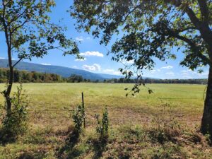 Property photo for land for sale in Le Flore County Oklahoma