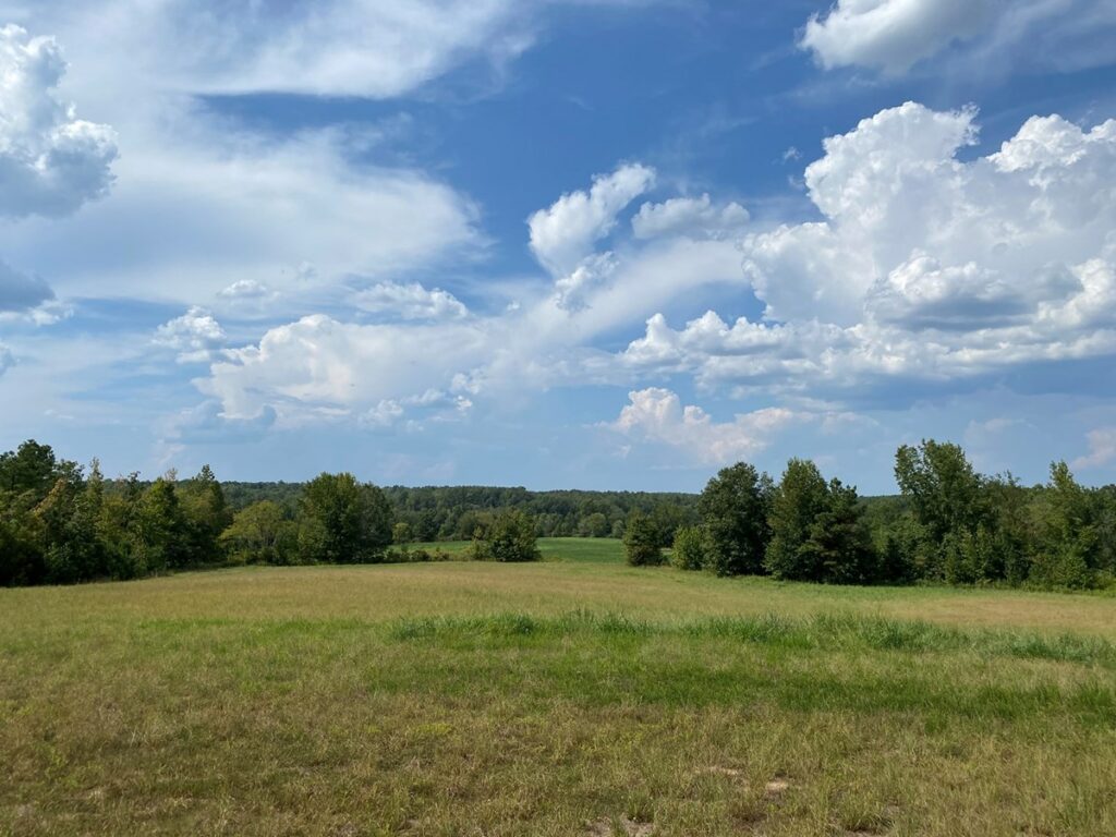 Property photo for land for sale in McNairy County Tennessee