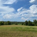 Property photo for land for sale in McNairy County Tennessee