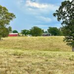 Property photo for land for sale in Cedar County Missouri