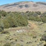 Property photo for land for sale in Rio Arriba County New Mexico