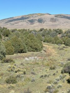 Property photo for land for sale in Rio Arriba County New Mexico