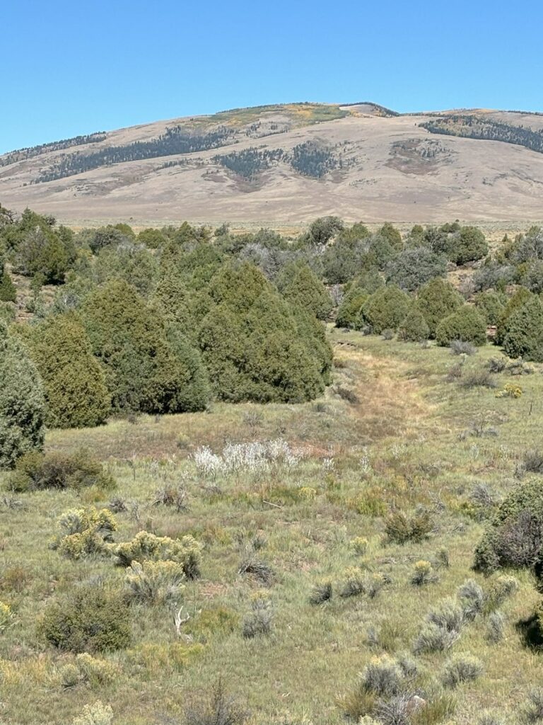 Property photo for land for sale in Rio Arriba County New Mexico