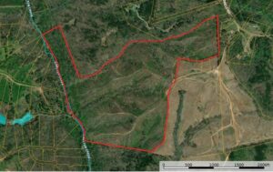 Property photo for land for sale in Halifax County Virginia