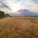 Property photo for land for sale in Phillips County Montana