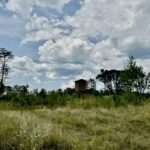 Property photo for land for sale in Amite County Mississippi