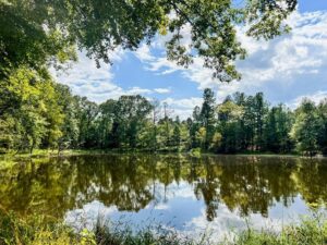 Property photo for land for sale in Hinds County Mississippi