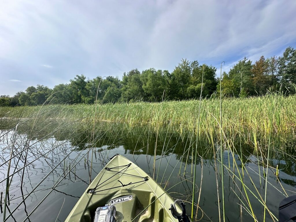 Property photo for land for sale in Beltrami County Minnesota