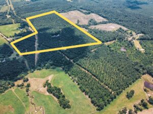 Property photo for land for sale in Union County Louisiana