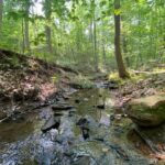 Property photo for land for sale in Halifax County Virginia