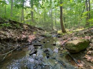 Property photo for land for sale in Halifax County Virginia