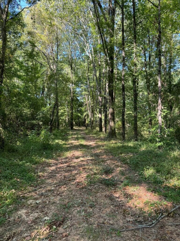 Property photo for land for sale in Wilcox County Alabama