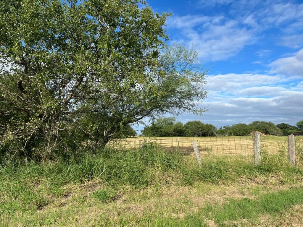 Property photo for land for sale in Jim Wells County Texas