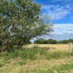 Property photo for land for sale in Jim Wells County Texas