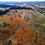 Property photo for land for sale in Ozark County Missouri