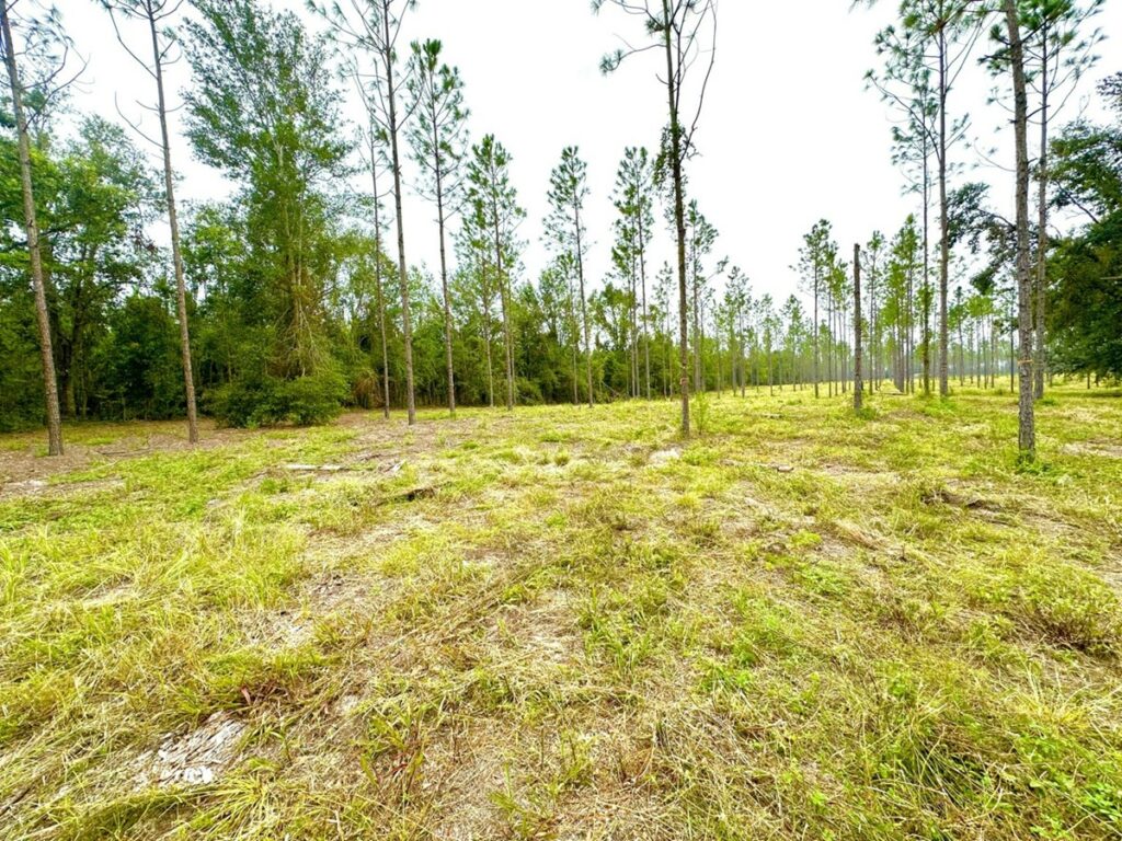 Property photo for land for sale in Lafayette County Florida