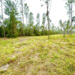 Property photo for land for sale in Lafayette County Florida