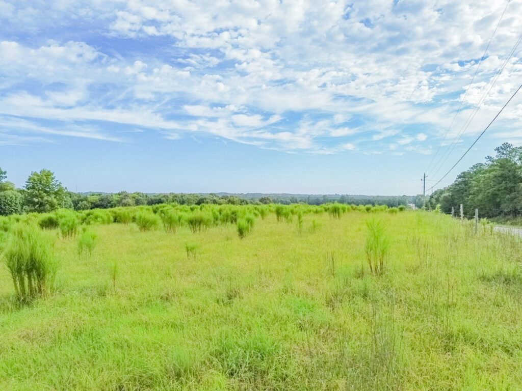 Property photo for land for sale in Chesterfield County South Carolina