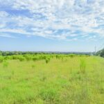 Property photo for land for sale in Chesterfield County South Carolina