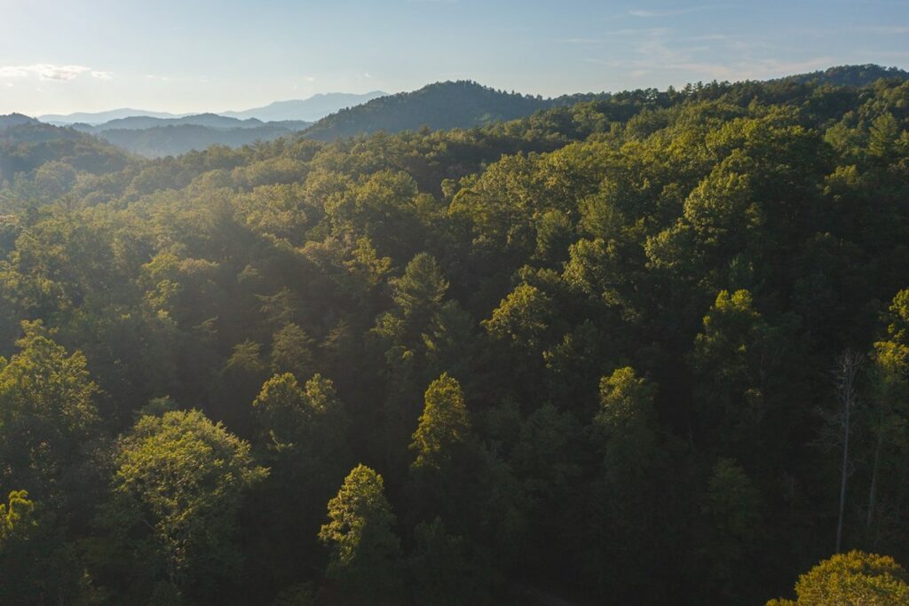 Property photo for land for sale in Caldwell County North Carolina