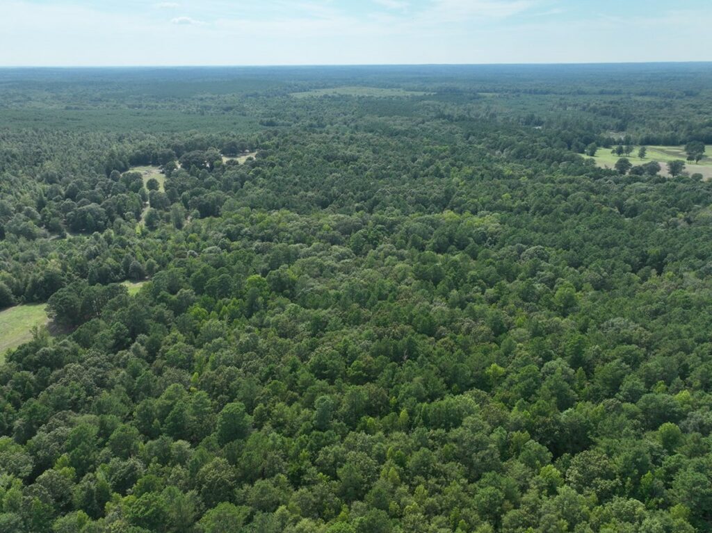 Property photo for land for sale in Marion County Texas