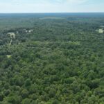 Property photo for land for sale in Marion County Texas