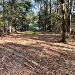 Property photo for land for sale in Hinds County Mississippi