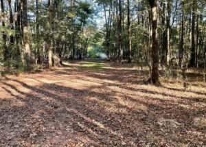 Property photo for land for sale in Hinds County Mississippi