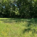 Property photo for land for sale in Morris County Texas