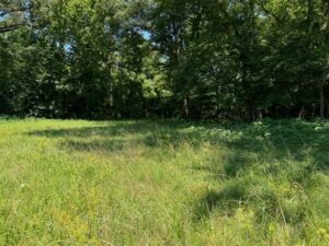 Property photo for land for sale in Morris County Texas