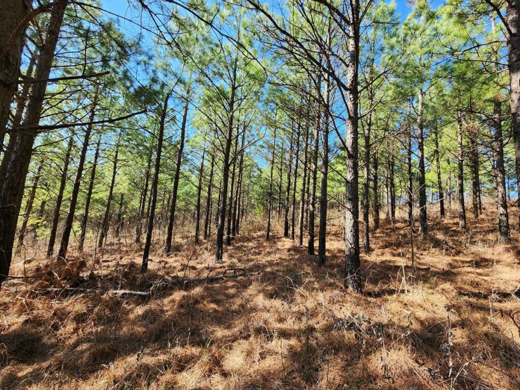 Property photo for land for sale in Le Flore County Oklahoma