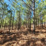 Property photo for land for sale in Le Flore County Oklahoma