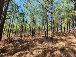 Property photo for land for sale in Le Flore County Oklahoma