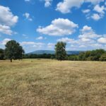 Property photo for land for sale in Le Flore County Oklahoma