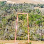 Property photo for land for sale in Hamilton County Florida