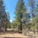 Property photo for land for sale in Modoc County California