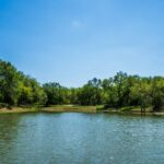 Property photo for land for sale in Medina County Texas