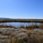 Property photo for land for sale in Harney County Oregon