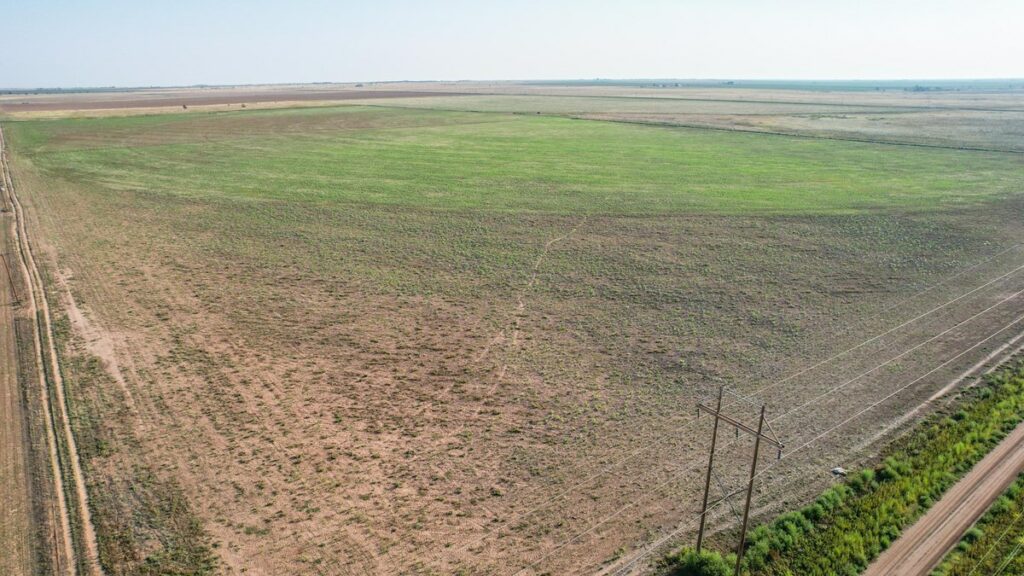 Property photo for land for sale in Lamb County Texas