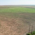 Property photo for land for sale in Lamb County Texas