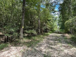 Property photo for land for sale in Allen County Louisiana