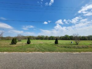 Property photo for land for sale in Houston County Alabama