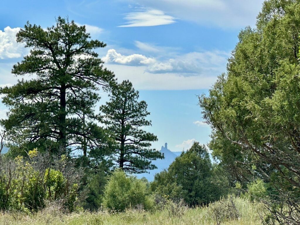 Property photo for land for sale in Archuleta County Colorado