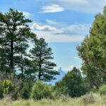 Property photo for land for sale in Archuleta County Colorado