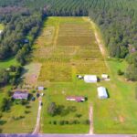 Property photo for land for sale in Hardin County Texas