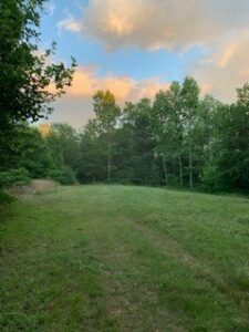 Property photo for land for sale in Lewis County Tennessee