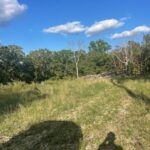 Property photo for land for sale in Douglas County Missouri