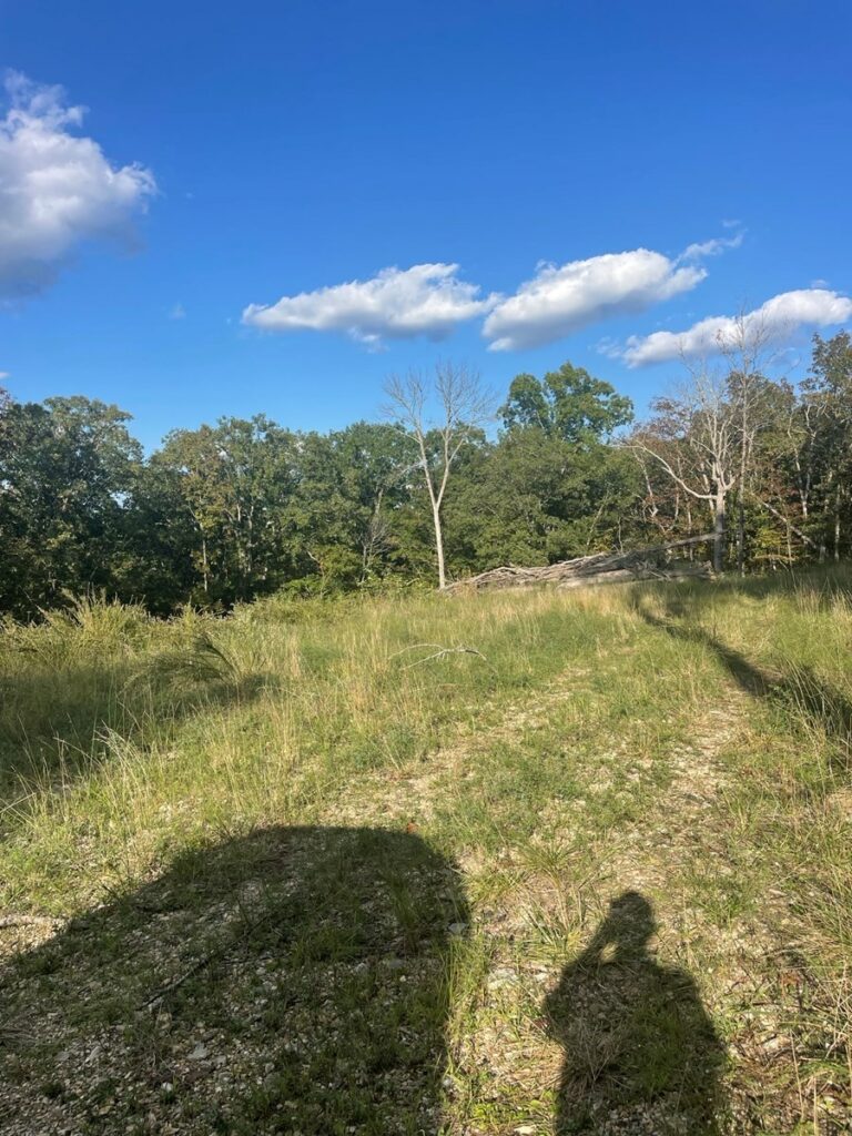 Property photo for land for sale in Douglas County Missouri