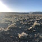 Property photo for land for sale in Lander County Nevada